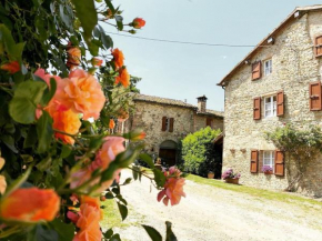 Cammino Nel Verde